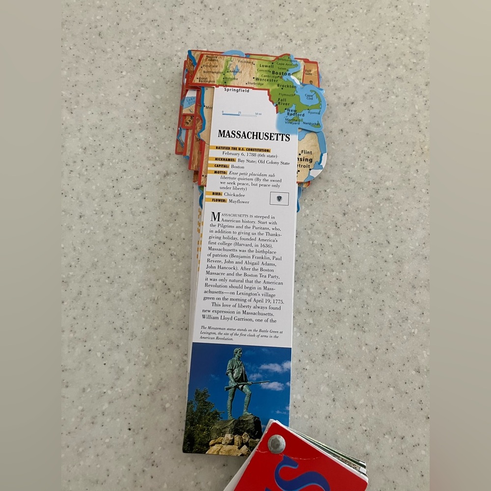 Fandex Family Field Guides: 50 United States Flash Cards Handheld Fan-style Deck - Picture 4 of 5